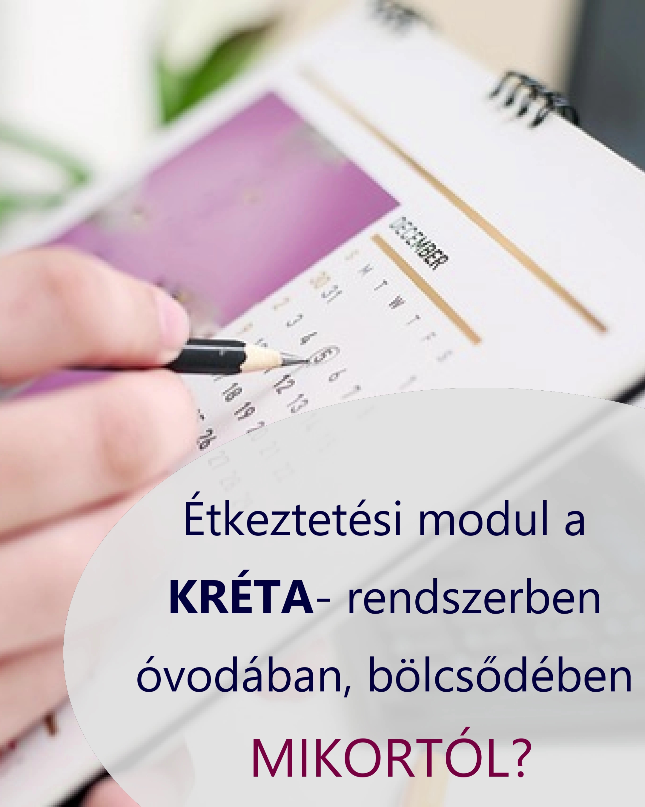 Étkeztetési modul a KRÉTA- rendszerben- óvodában, bölcsődében mikortól?